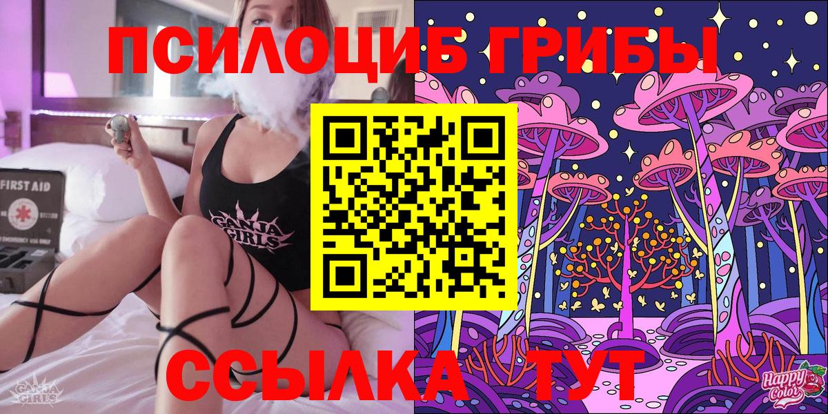 Псилоцибиновые грибы Psilocybine cubensis Верхняя Салда